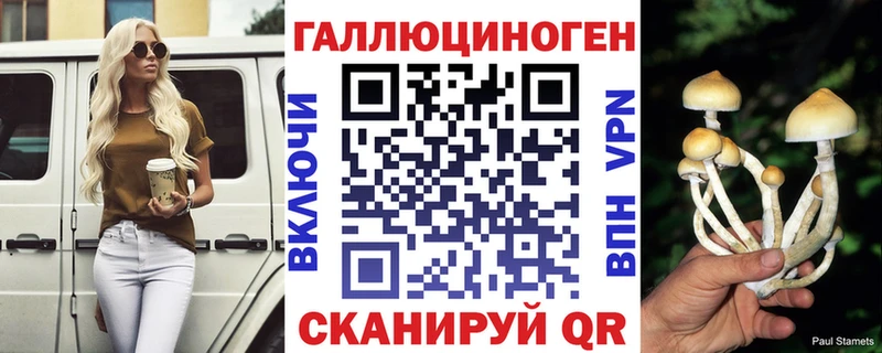 закладка  Суворов  Псилоцибиновые грибы MAGIC MUSHROOMS 